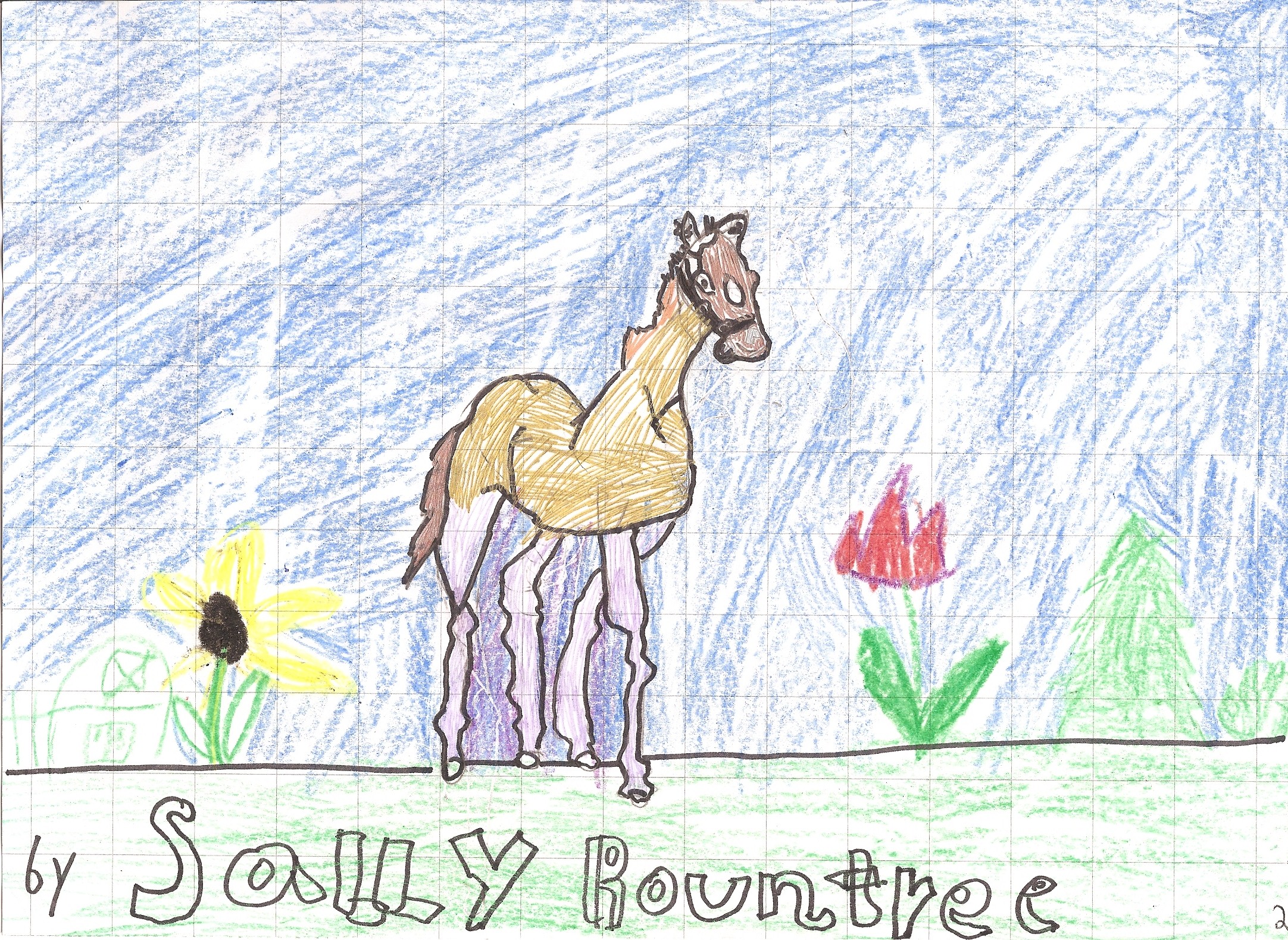 Pony in Meadow, illustration by Sara Rountree